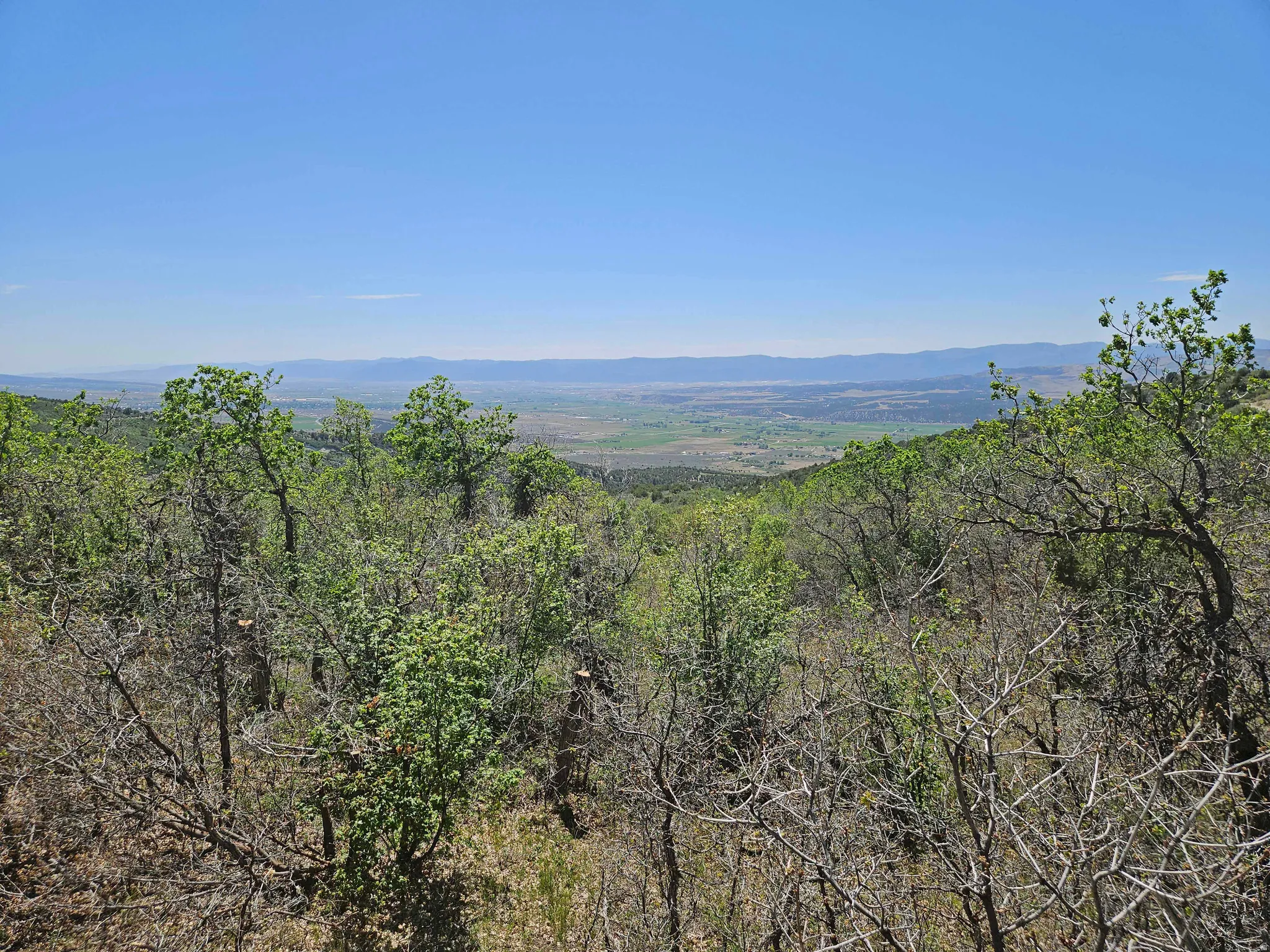 Expansive landscape featuring distant mountains and a broad valley under a clear blue sky