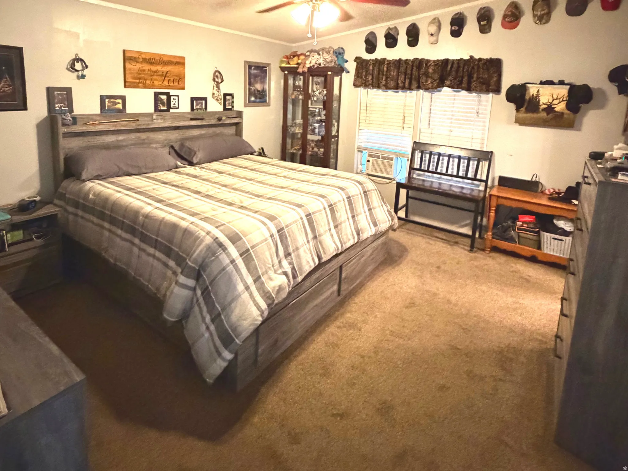 Bedroom with crown molding, carpet floors, ceiling fan, and cooling unit