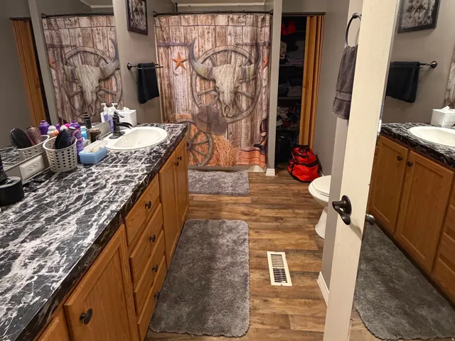 Bathroom featuring vanity, dark wood-type flooring, and a shower with shower curtain