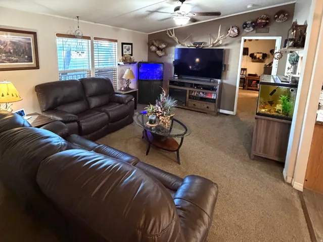 Carpeted living room featuring ceiling fan