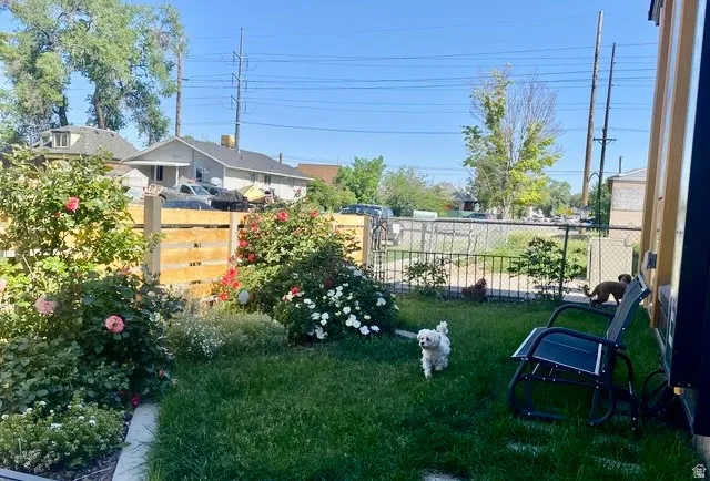 View of fenced yard