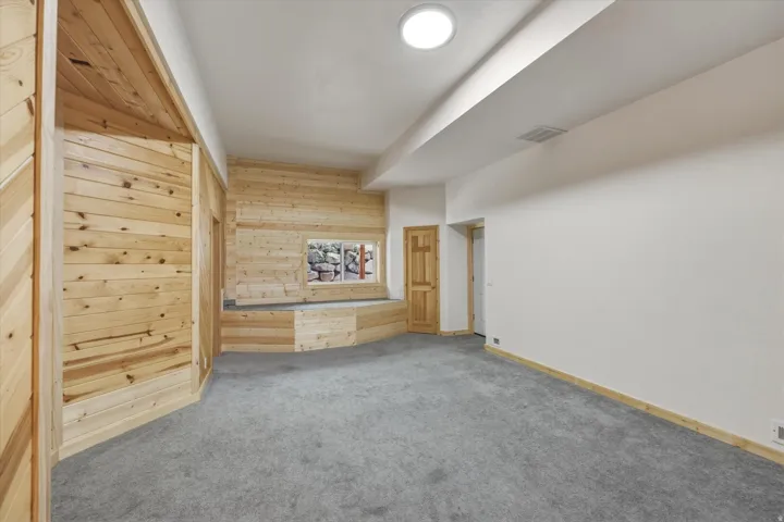 Additional living space with wood walls and carpet floors