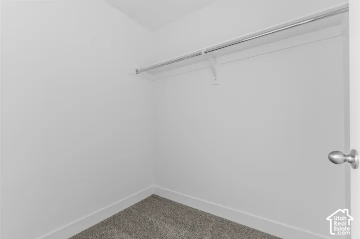 White walls with a single metal hanging rod, integrated shelving, and gray carpet