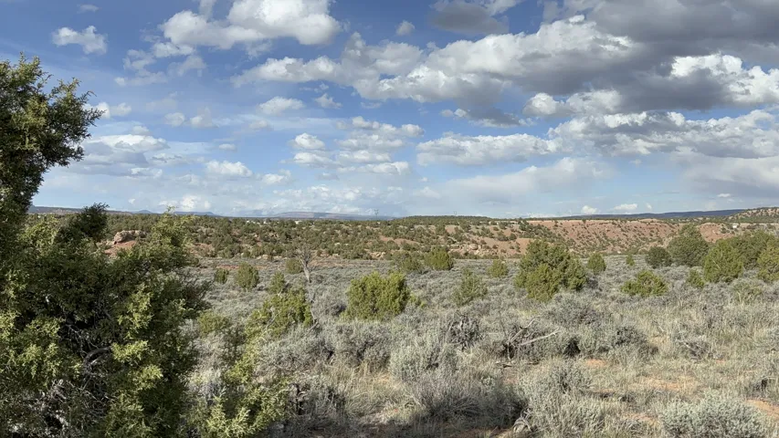 View of undeveloped land