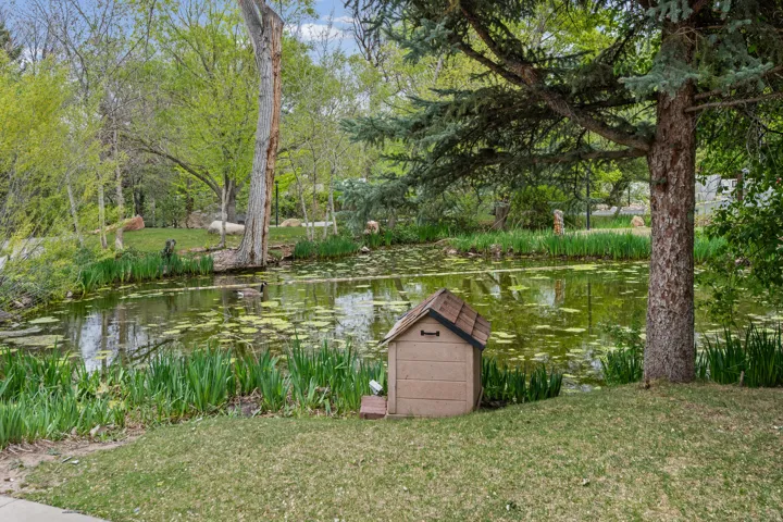 View of green lawn featuring a water view