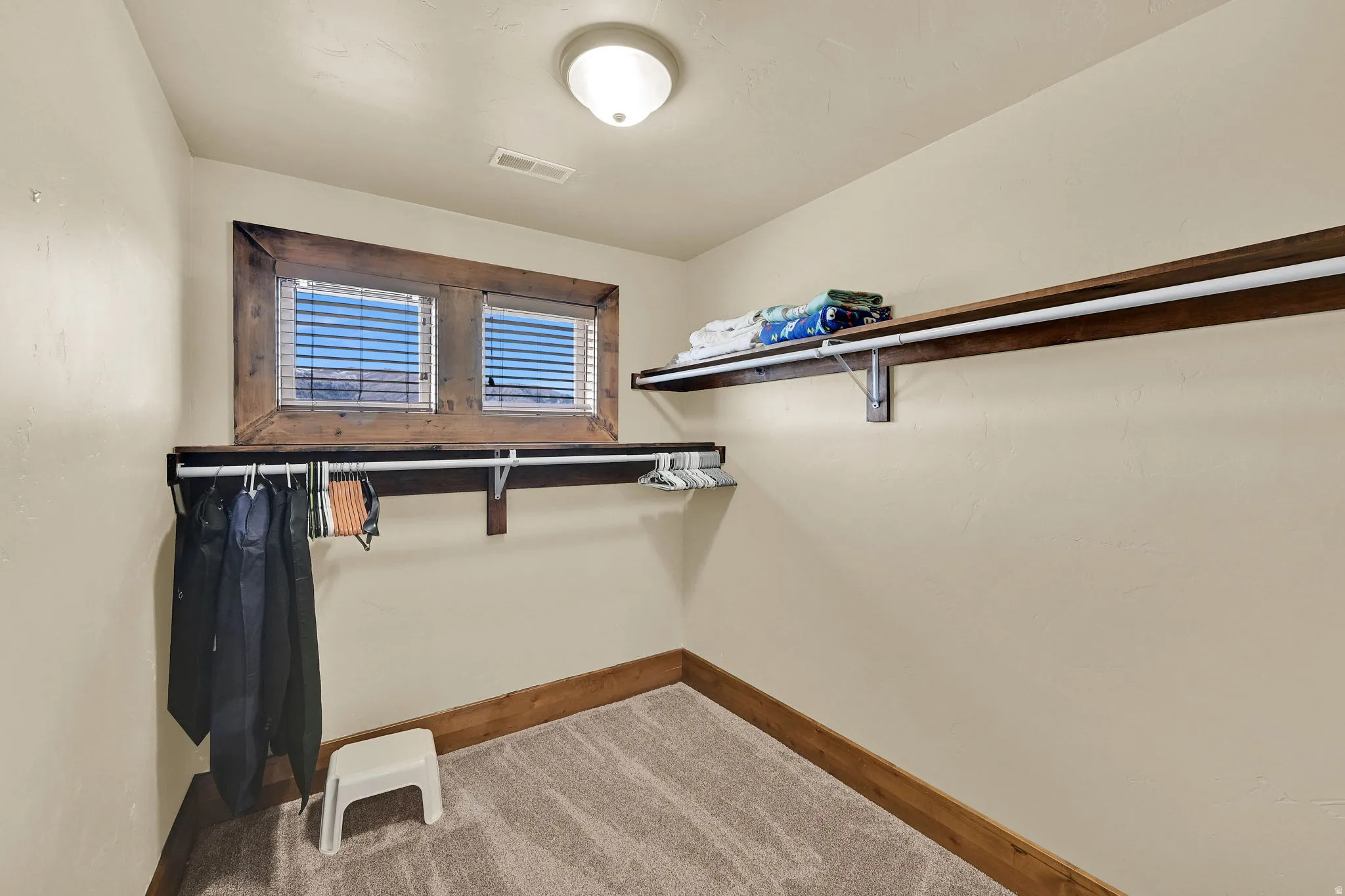 Walk in closet featuring light colored carpet