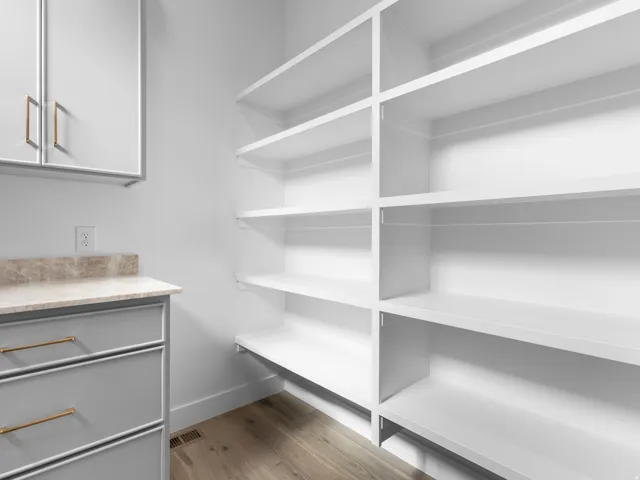 Spacious pantry featuring extensive built-in shelving, white cabinetry with gold-tone hardware, and a light-toned countertop with a matching backsplash