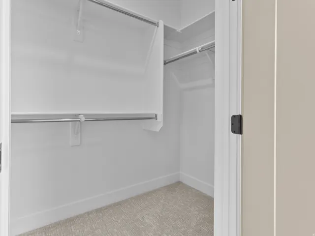 Walk-in closet featuring light-toned carpet flooring, white painted walls, white shelving, and chrome hanging rods