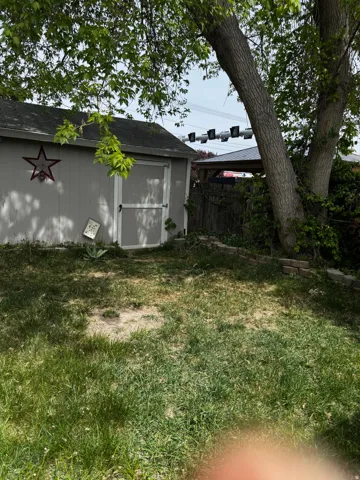 View of yard with a shed