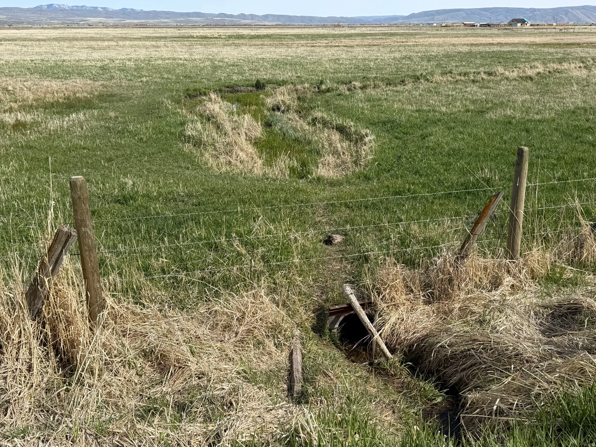 Spring for stock water