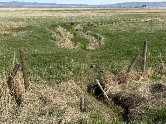 Spring for stock water