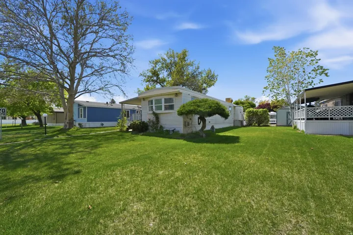 View of grassy yard