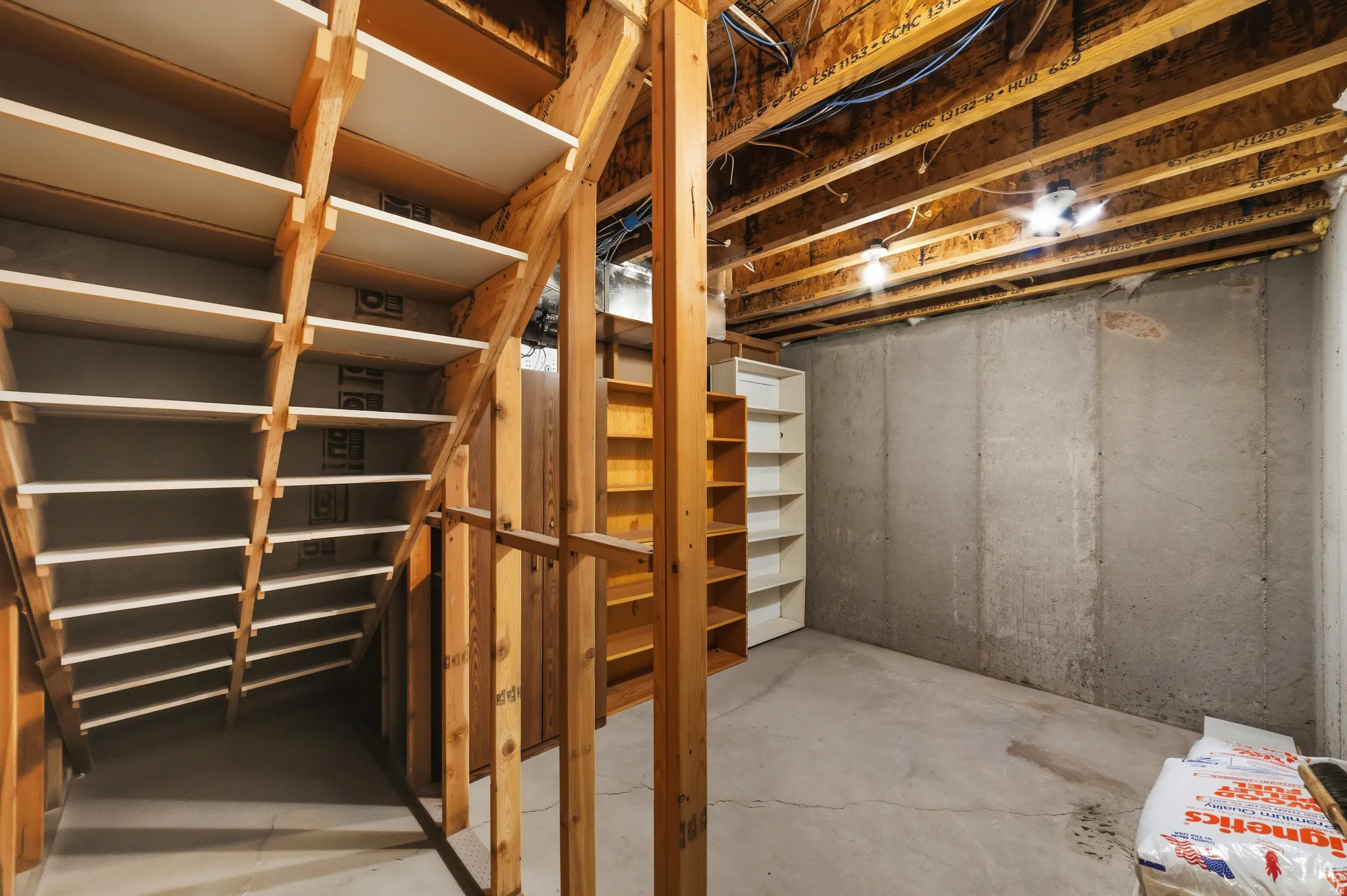 View of unfinished basement