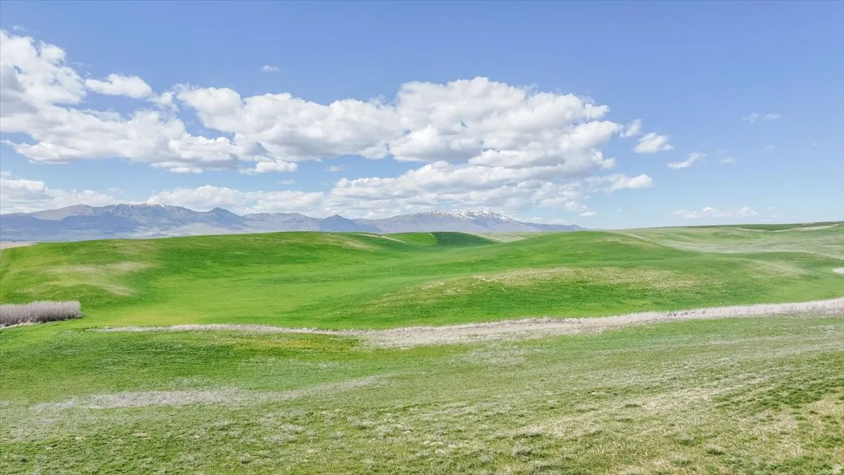 View of home's community featuring a mountain view