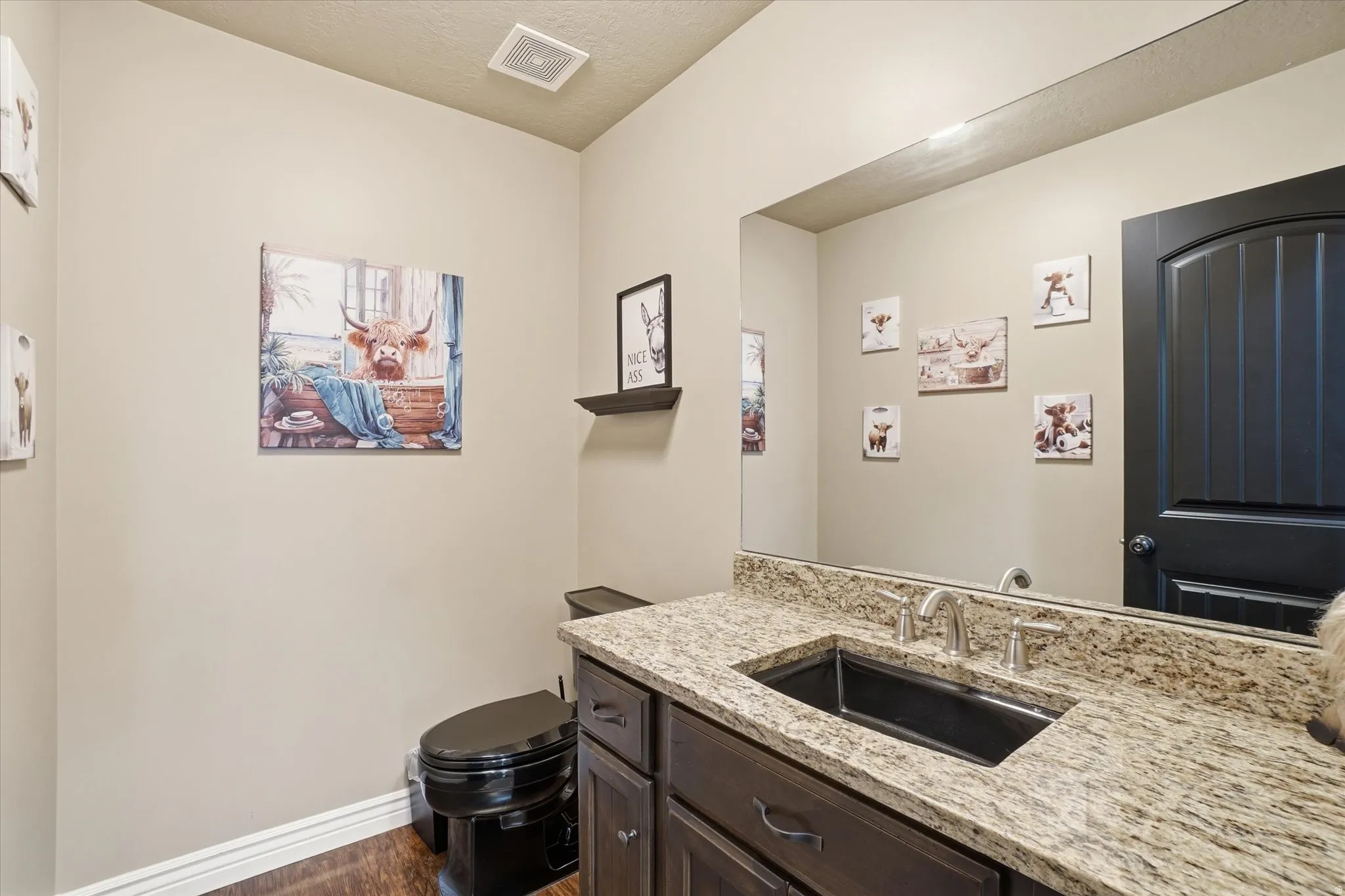 Half bath featuring vanity, dark wood finished floors, and a textured ceiling