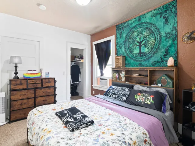 Textured carpeting and a built-in closet with shelving