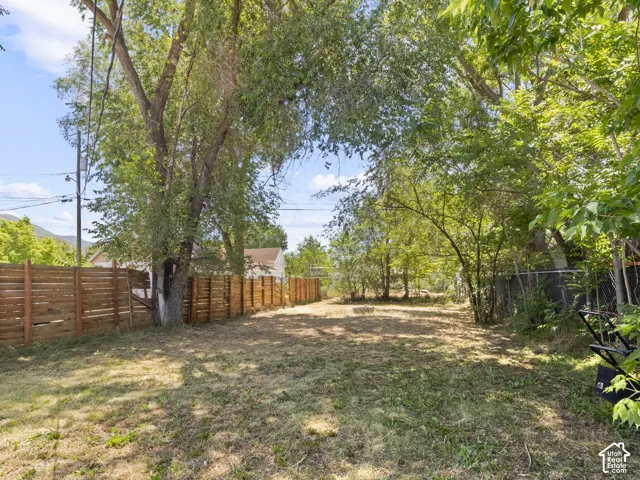 Expansive backyard featuring a partially cleared lawn, mature trees providing natural shading, and a horizontal slat wood fence
