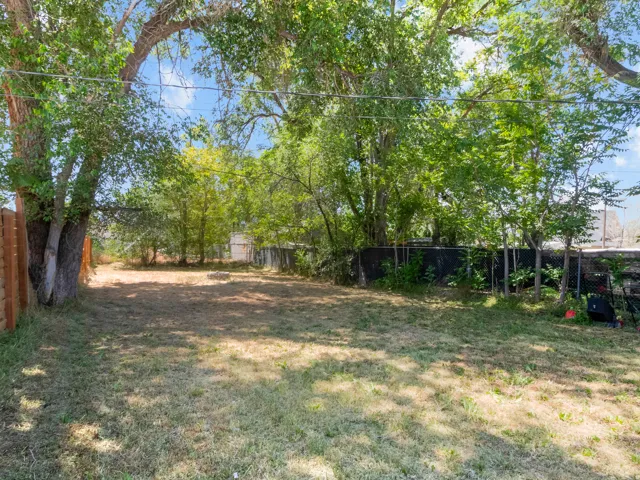 Expansive yard featuring mature trees, partial fencing, and natural landscaping
