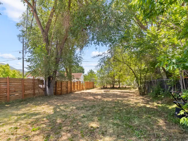 Expansive backyard featuring a partially cleared lawn, mature trees providing natural shading, and a horizontal slat wood fence