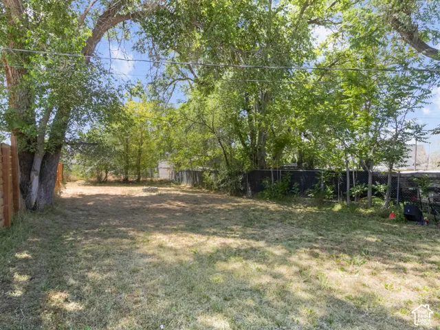 Expansive yard featuring mature trees, partial fencing, and natural landscaping