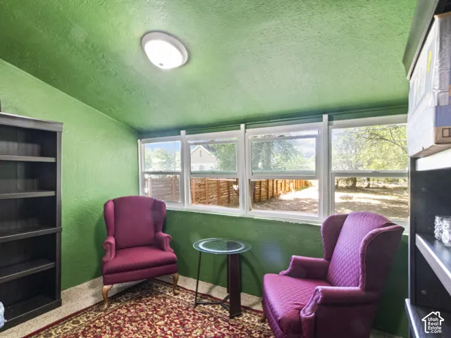 Room featuring green walls and ceiling, multiple windows, and a built-in bookshelf