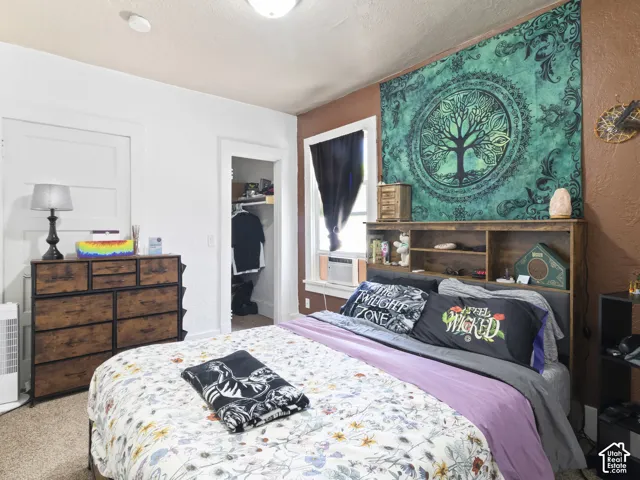 Textured carpeting and a built-in closet with shelving