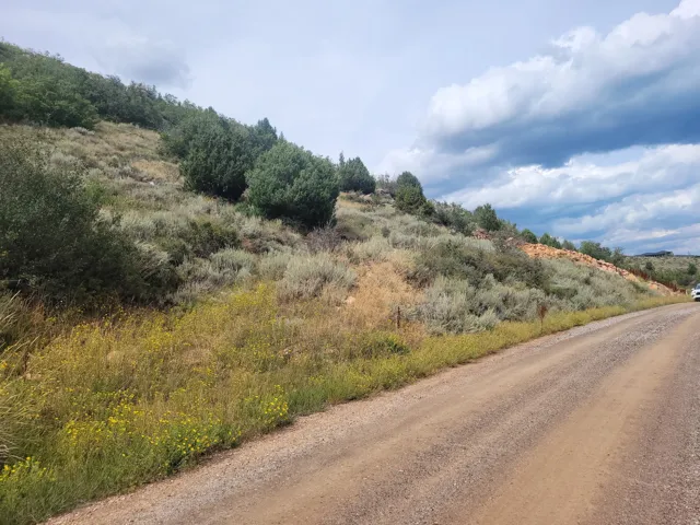 Sloping terrain with natural vegetation, including low-lying shrubs and scattered evergreens