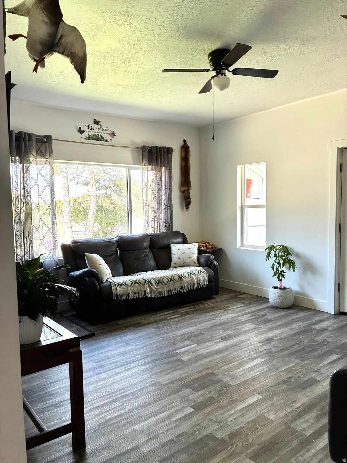 Living room with ceiling fan, a textured ceiling, and wood finished floors