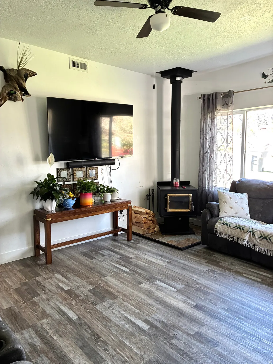 Living area  a wood stove and plenty of natural light