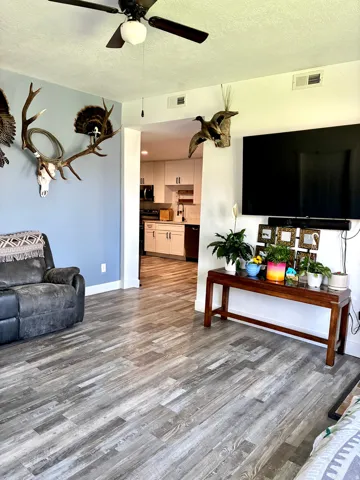 Living room featuring a textured ceiling, ceiling fan, and dark wood-type flooring