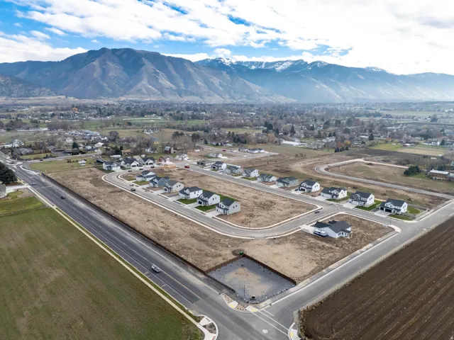 Aerial view of residential area with a mountain backdrop