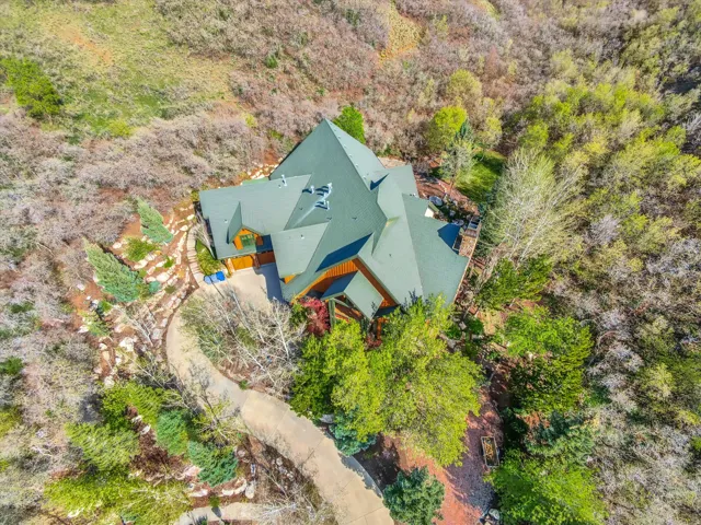 Another gorgeous aerial with a view of the little canyon behind the property.