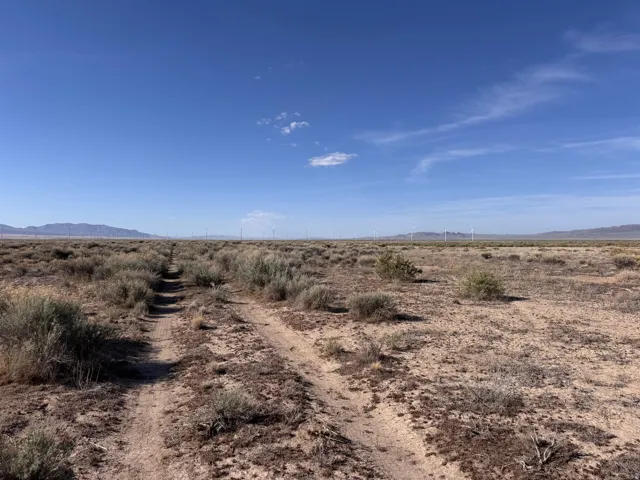View of local wilderness with a mountainous background and rural landscape