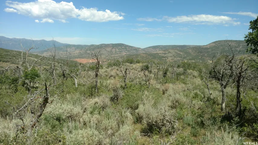 View of mountain backdrop with a heavily wooded area