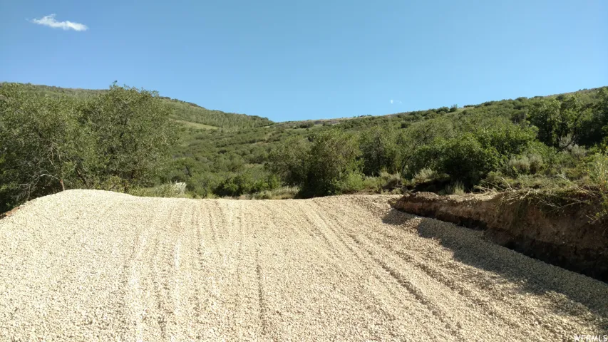 View of undeveloped land