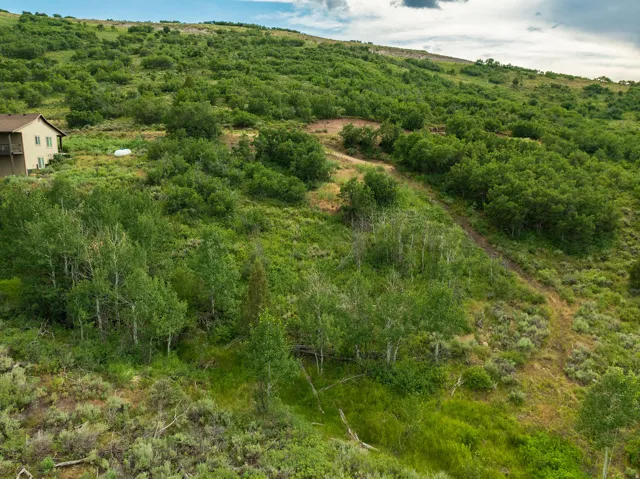 Mountain view featuring a heavily wooded area
