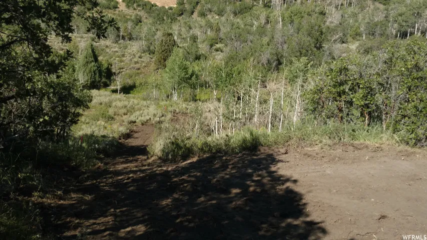 View of wooded area