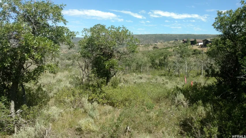 View of woods