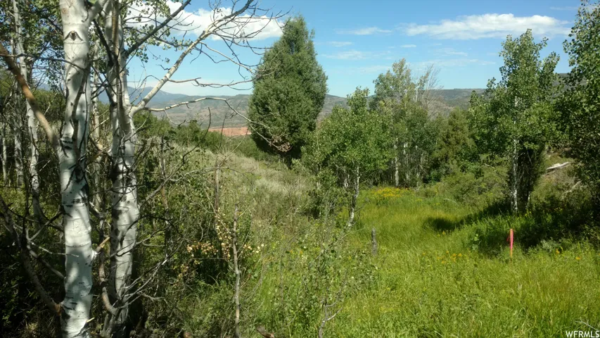 View of local wilderness with a mountainous background