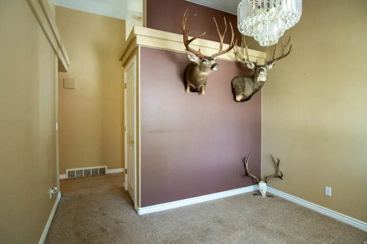 Laundry room with light colored carpet and baseboards