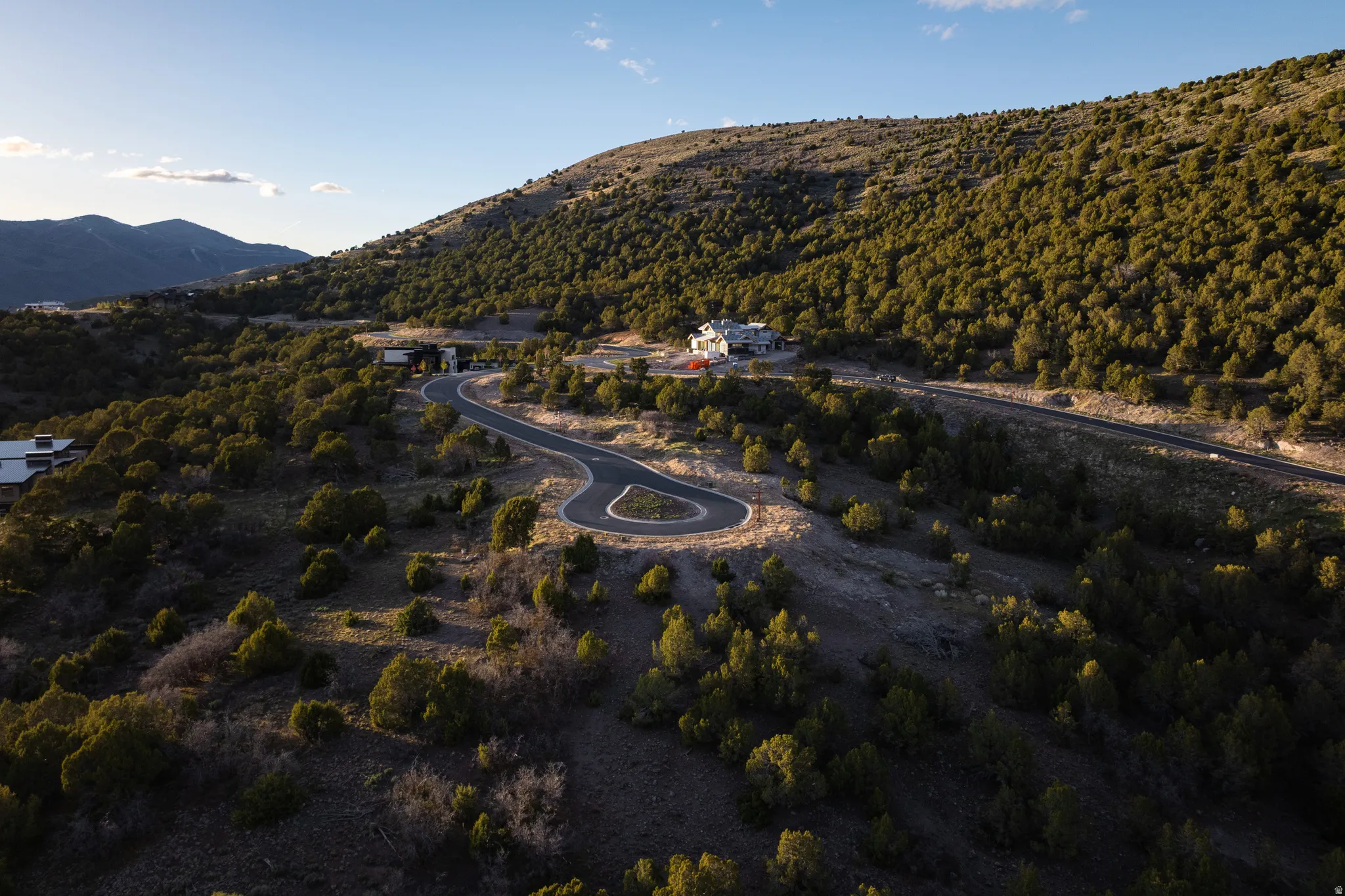 Mountain view with a heavily wooded area
