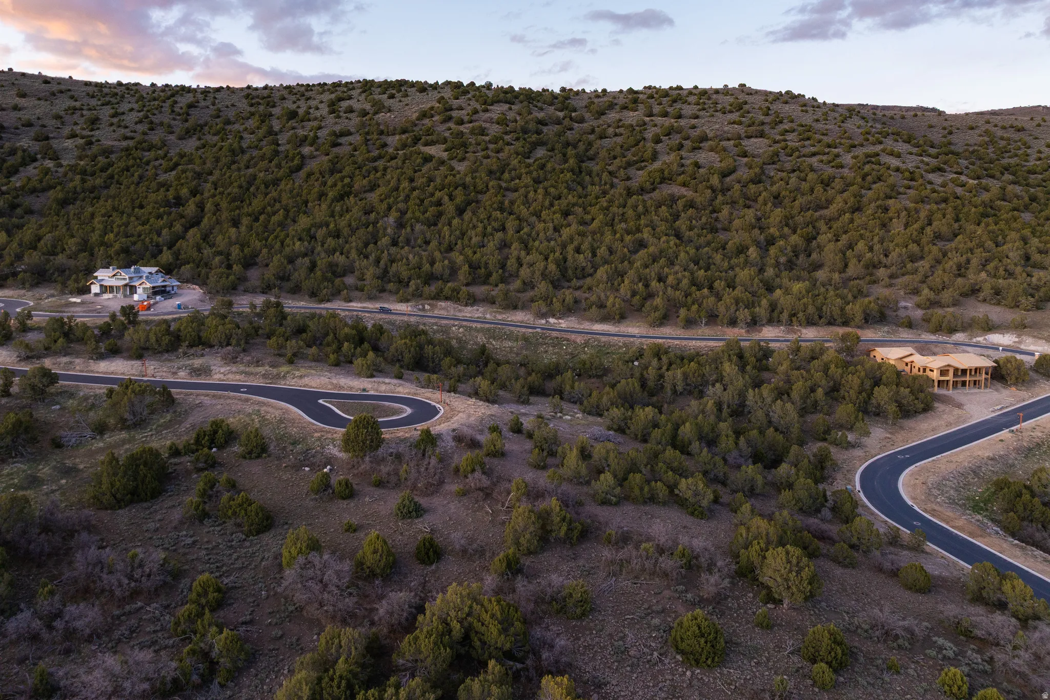 Aerial view at dusk of a forest view