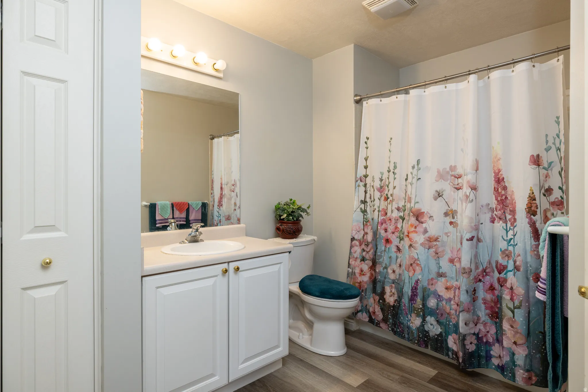 Bathroom with vanity, wood finished floors, and a shower with shower curtain