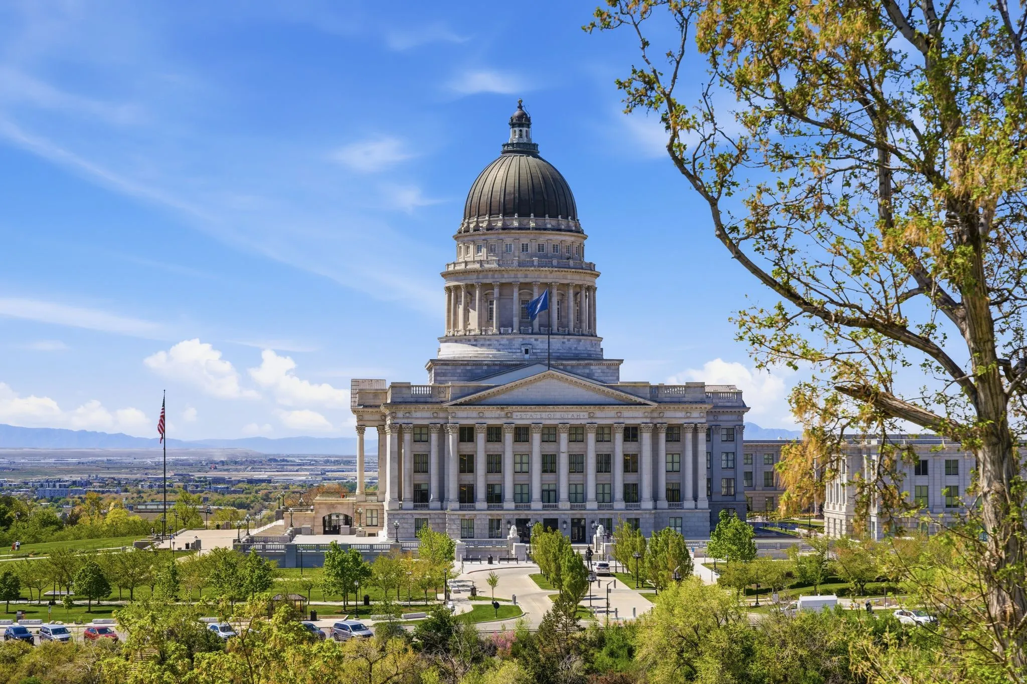 View of Capitol From Grassy Dog Park