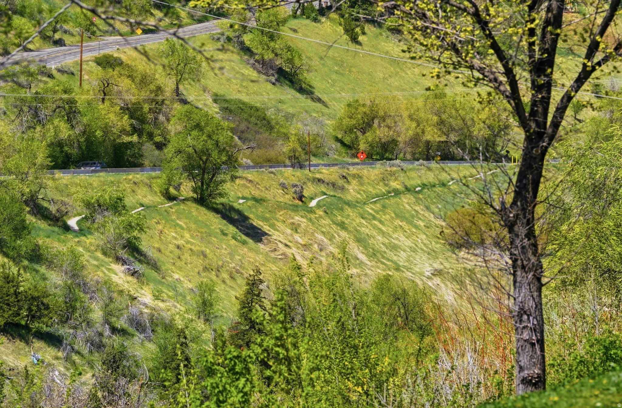 Hiking Path Above Memory Grove Park