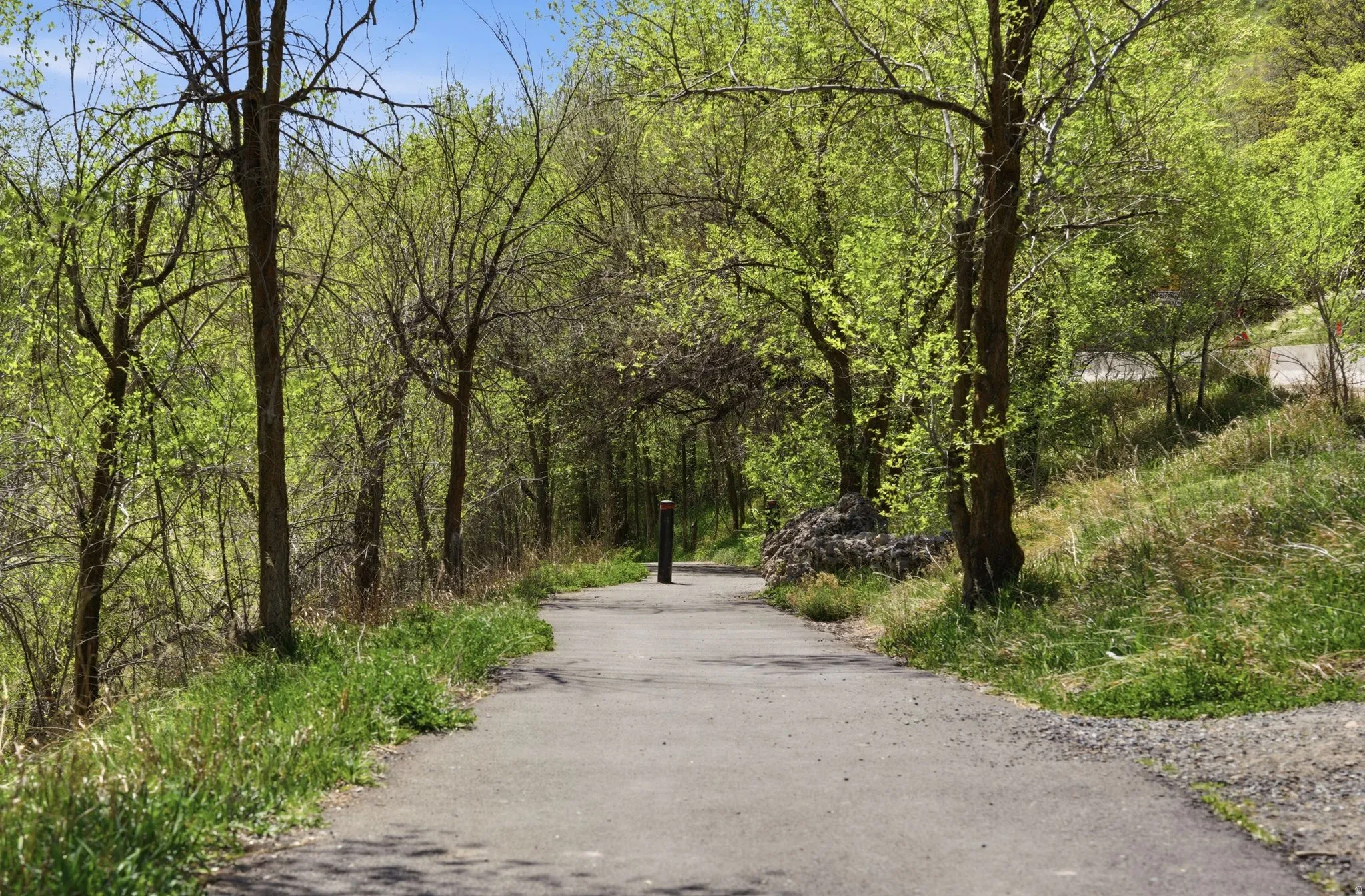 View of walking path featuring a wooded view