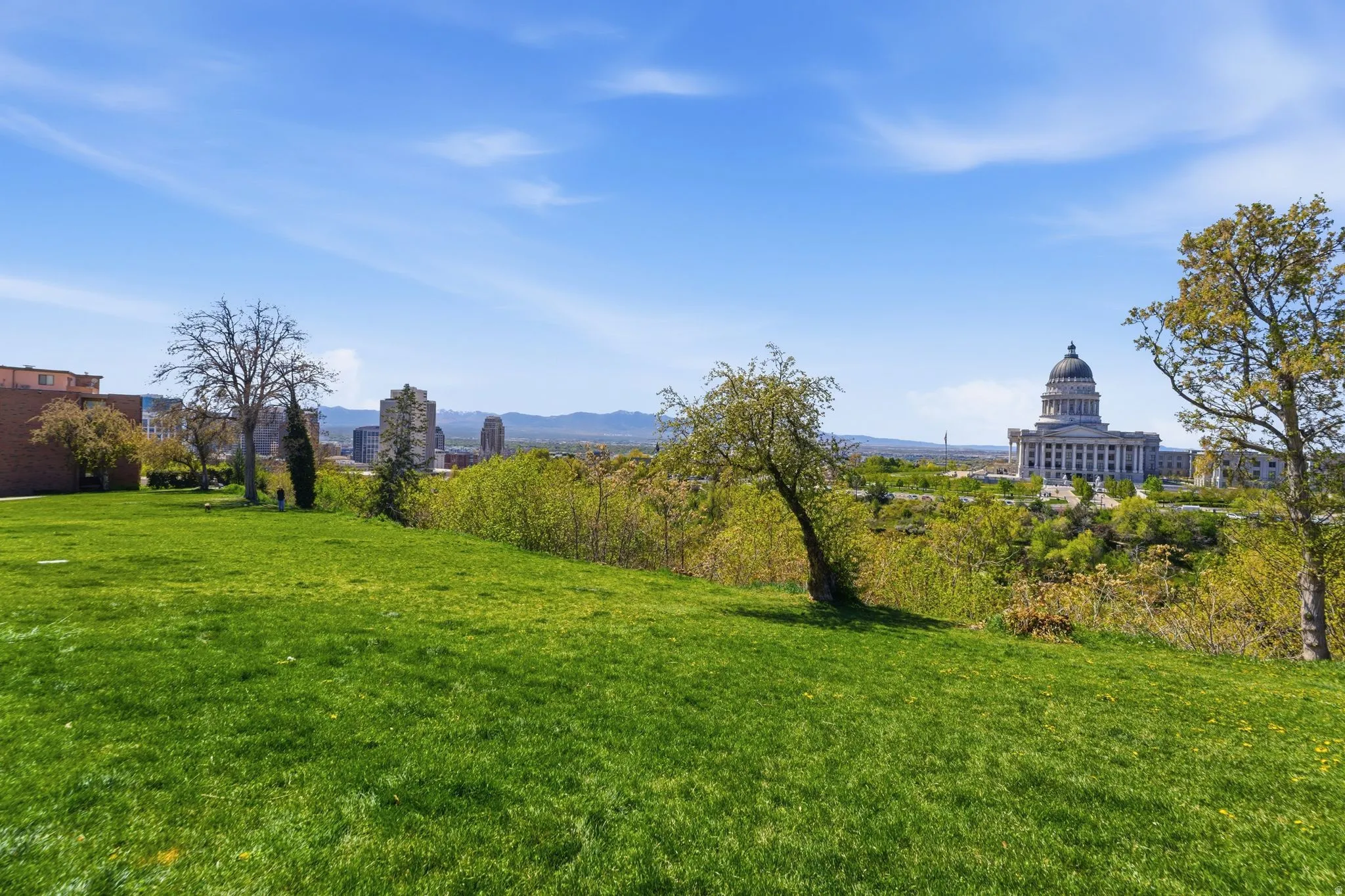 View of grassy dog park with a mountain view