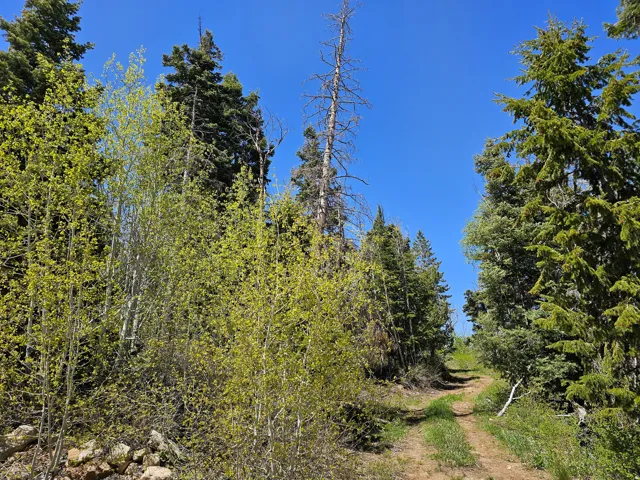 27 Pine Ridge Rd, Mt Pleasant, Utah 84647