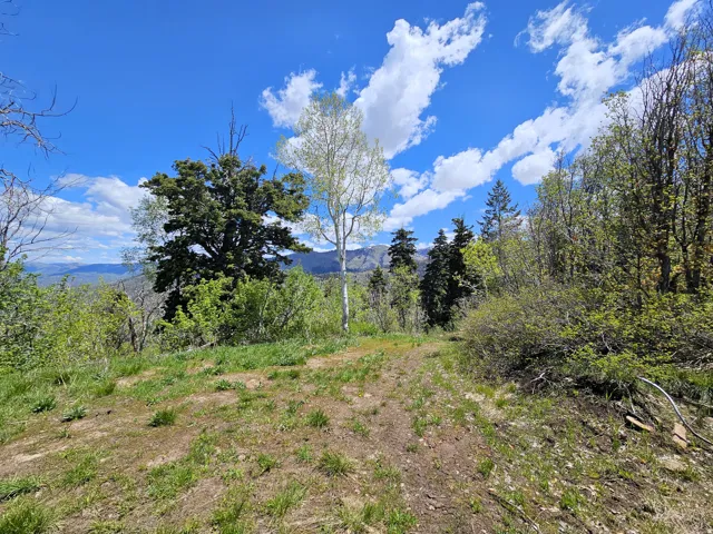27 Pine Ridge Rd, Mt Pleasant, Utah 84647