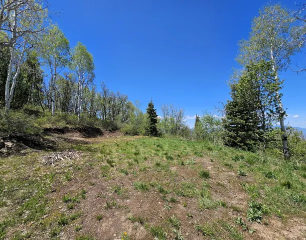 27 Pine Ridge Rd, Mt Pleasant, Utah 84647